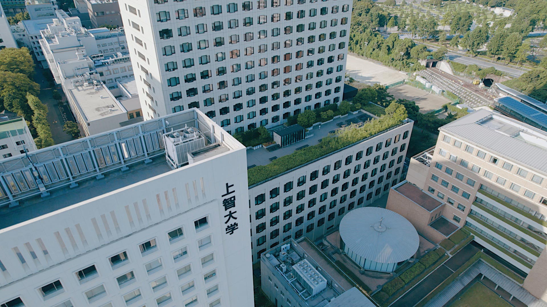 学部｜上智大学