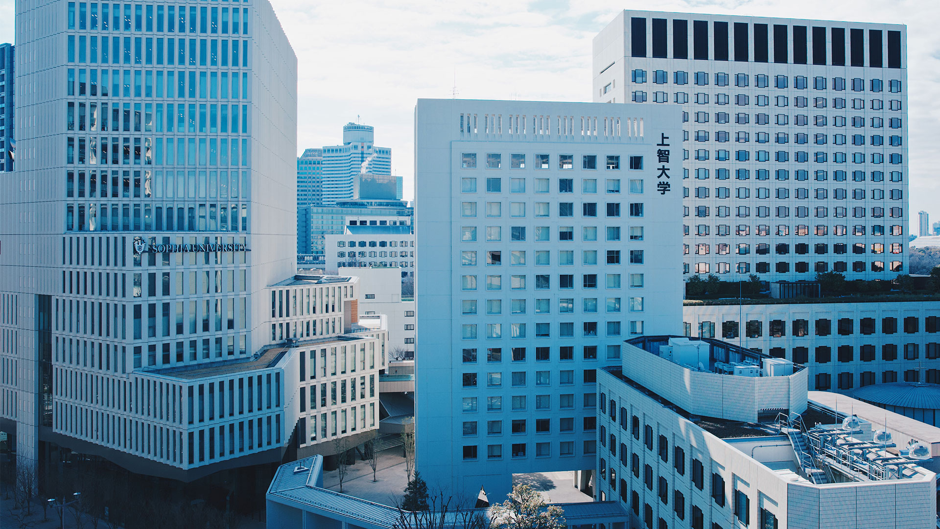 About Sophia University