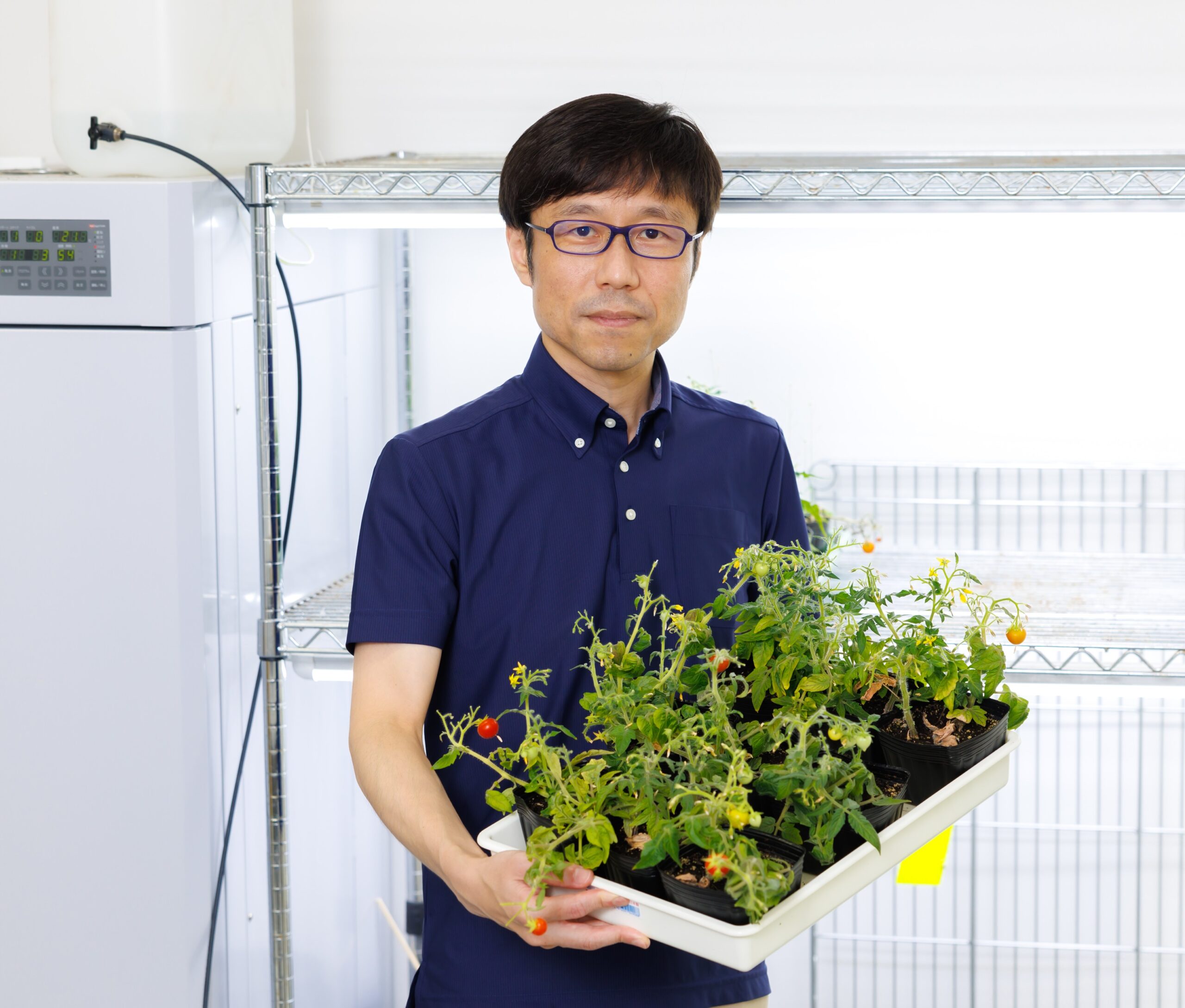 生物学データ大百科事典 上 下 セット【除籍本】 生物学データ大百科事典 上 下 セット【除籍本】 生物学データ大百科